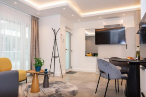 Luxury Cozy 2 BDR Downtown Apt.3